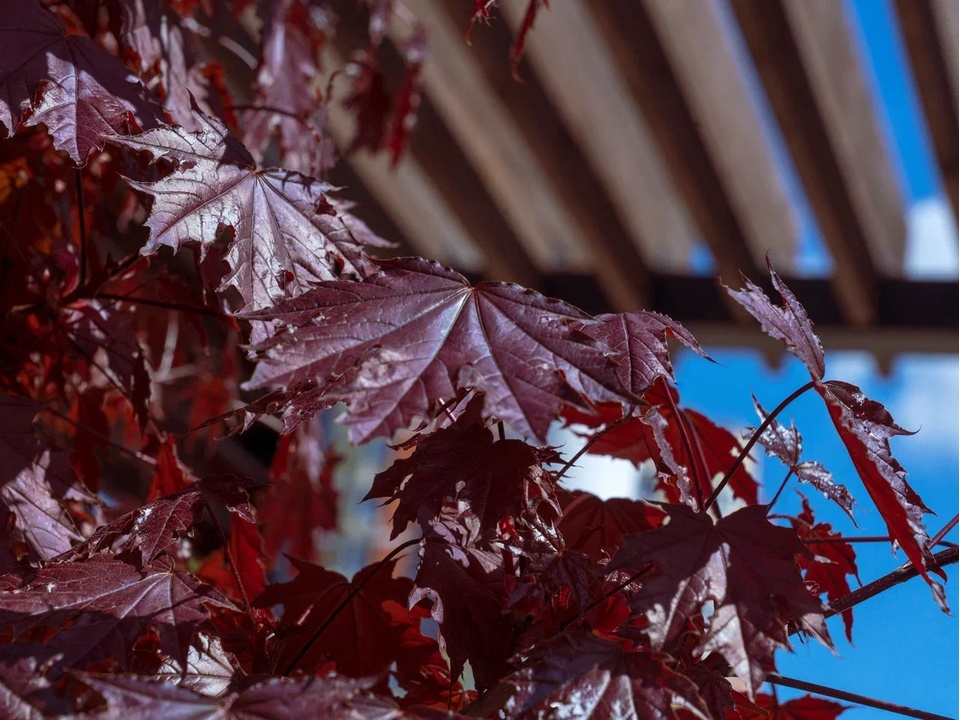 Фото: REGIONS/Наталия Надточая