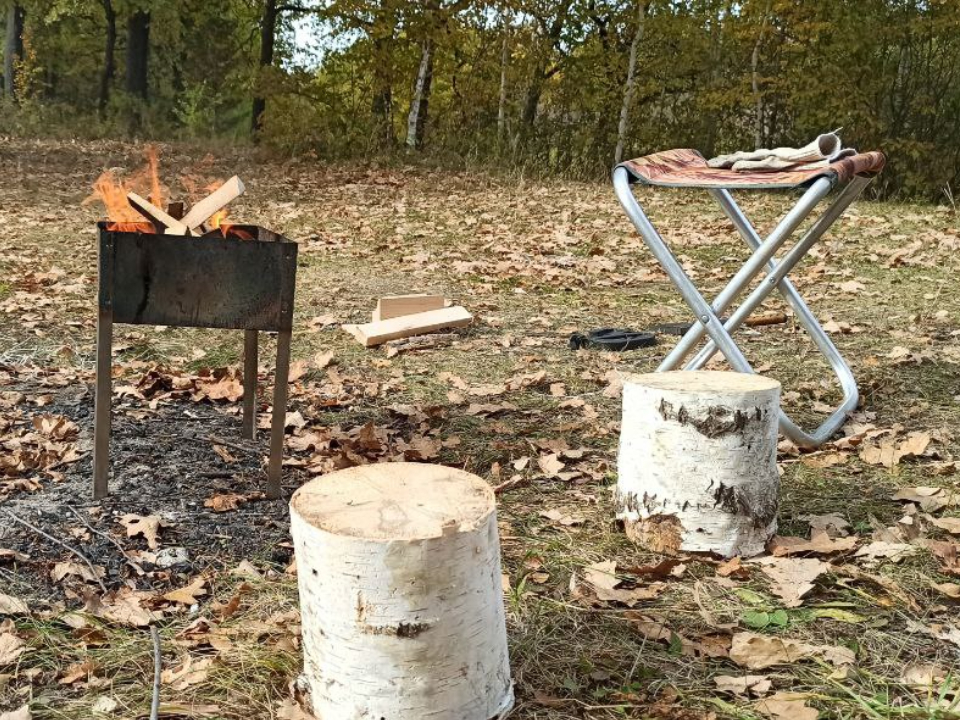 Фото: REGIONS/Эльвира Сафина