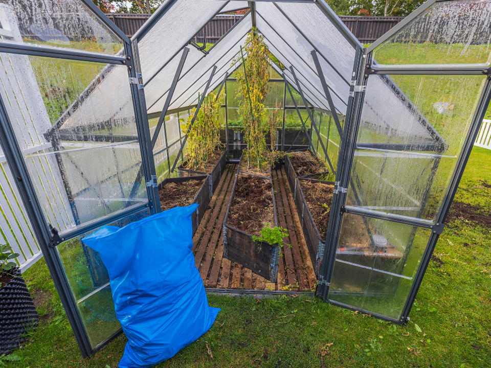 Фото: istockphoto.com/Alexander Shapovalov