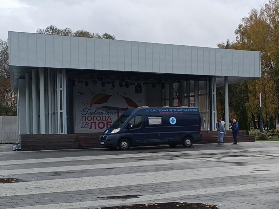 Фото: МедиаБанк Подмосковья/Екатерина Дятловская  