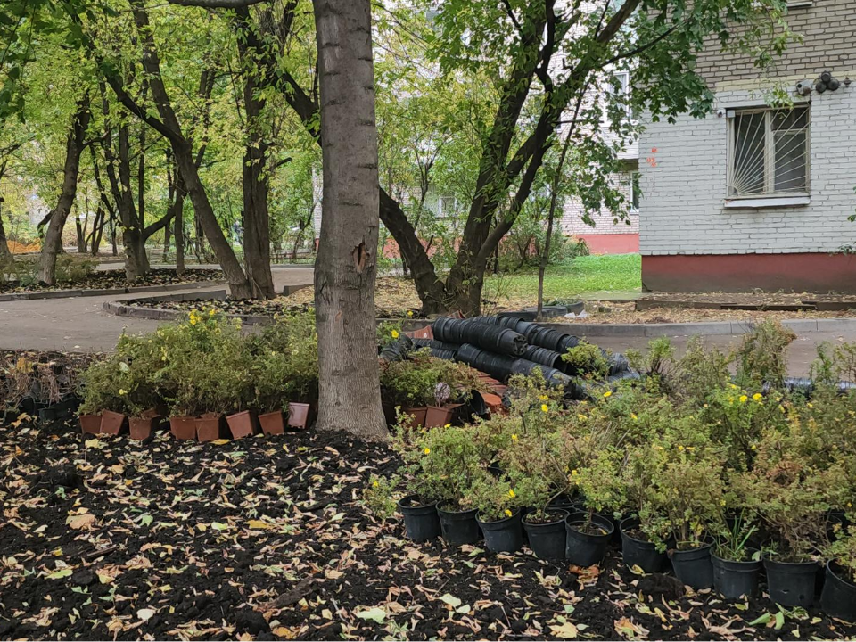 Фото: МедиаБанк Подмосковья/Наталья Лымарь