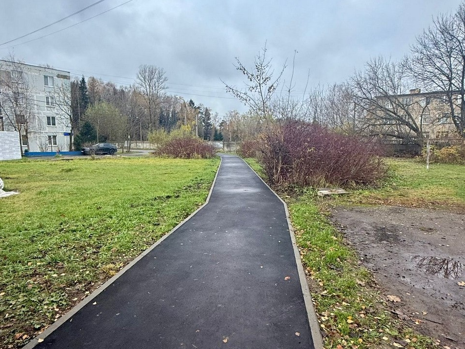 Фото: пресс-служба администрации Наро-Фоминского г.о. 