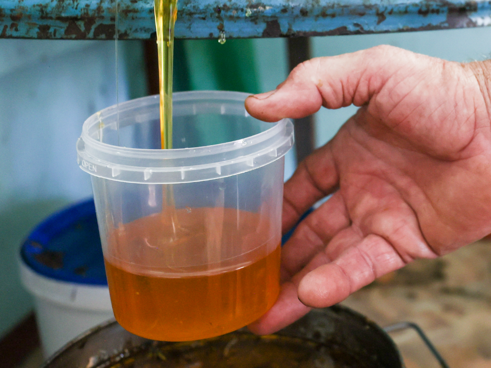 Фото: ТАСС/Александр Река