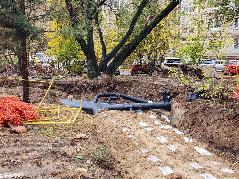 Фото: Медиабанк Подмосковья/Дмитрий Алексеенко