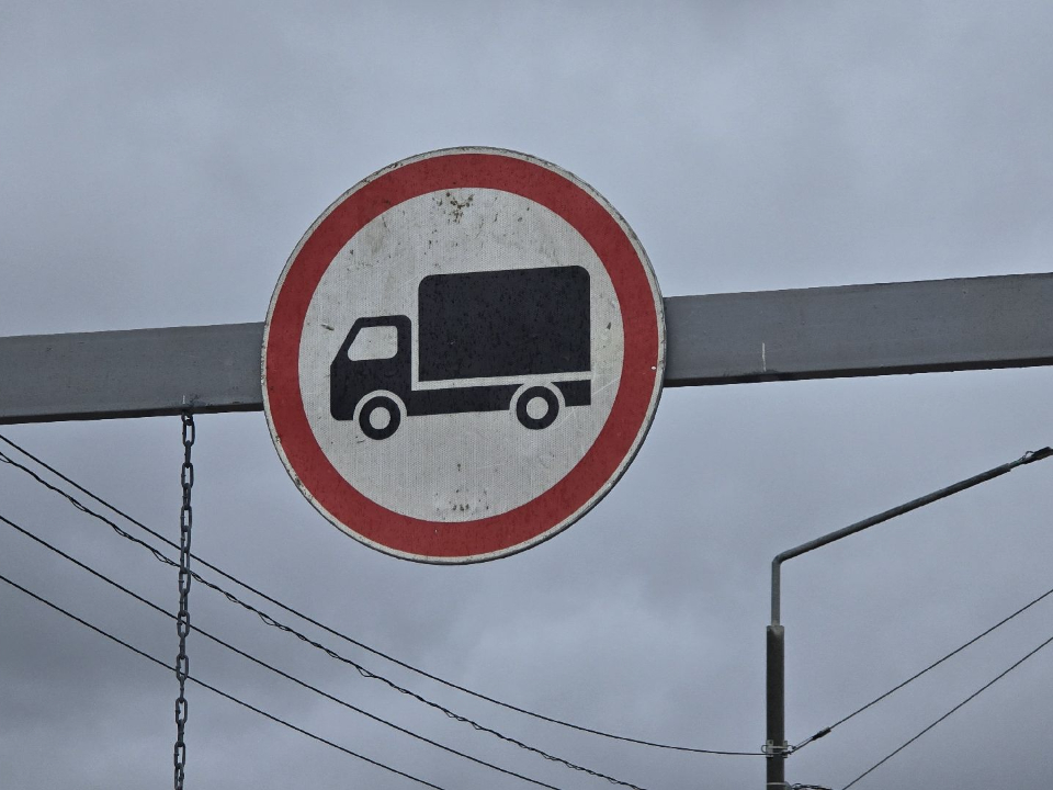 Фото: Медиабанк Подмосковья/Марина Анисимова