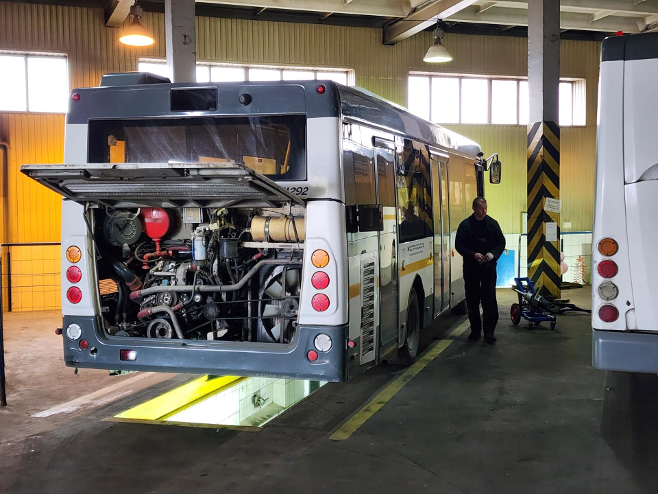 Фото: Медиабанк Подмосковья/Дмитрий Алексеенко