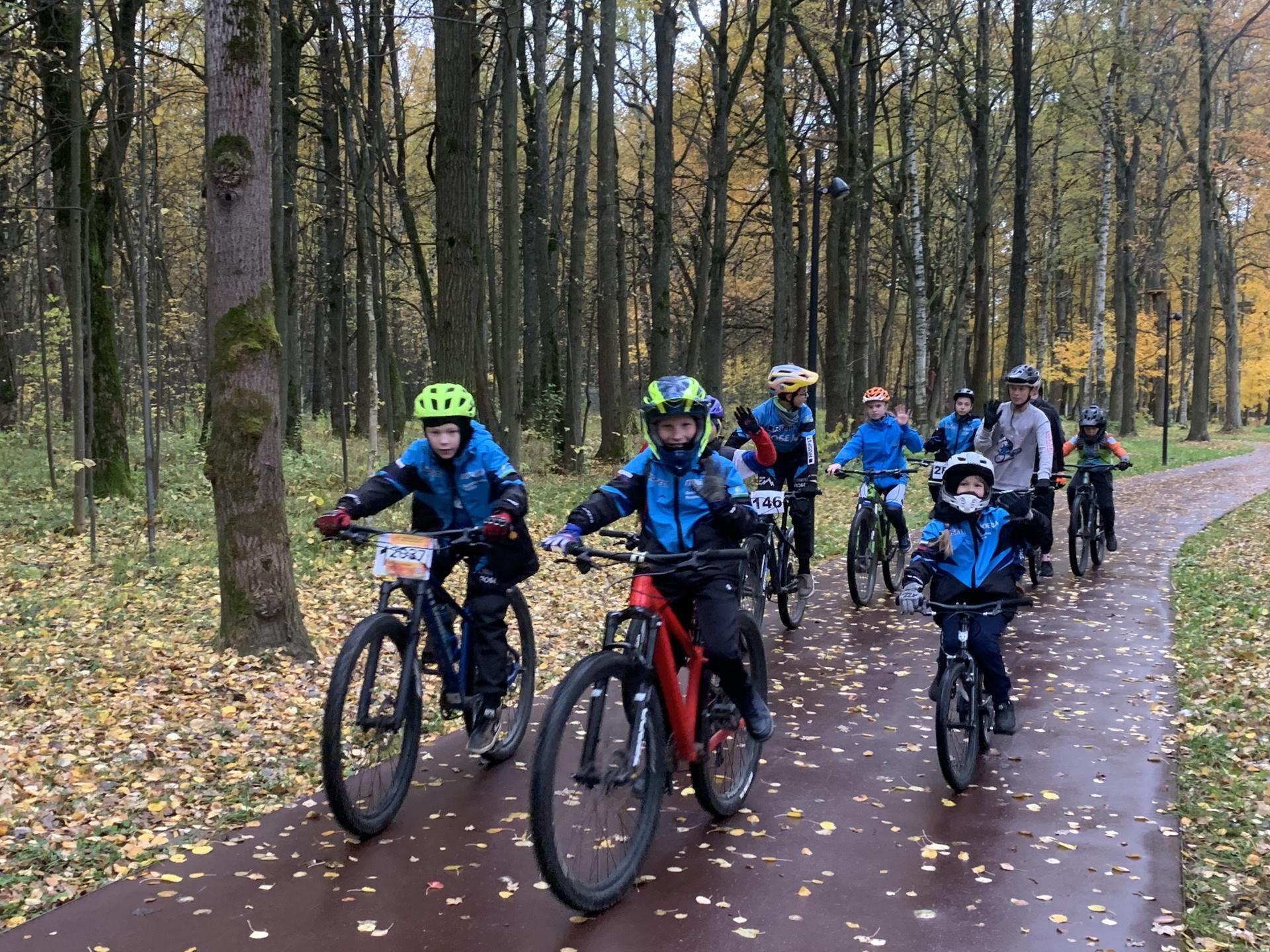 Фото: Медиабанк Подмосковья/Екатерина Елисеева