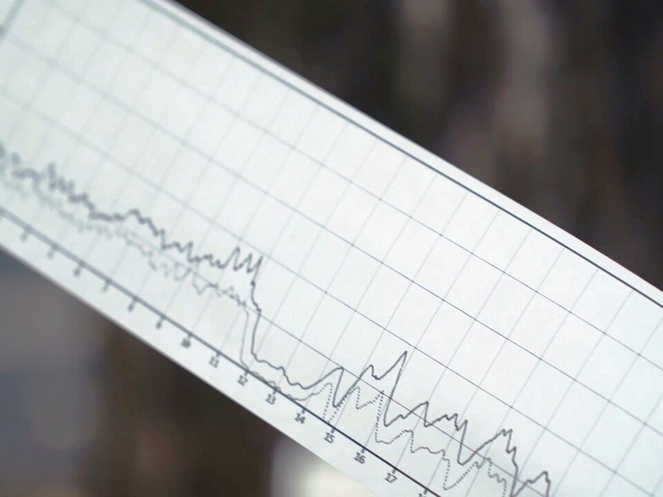 Фото: пресс-служба администрации г.о. Кашира