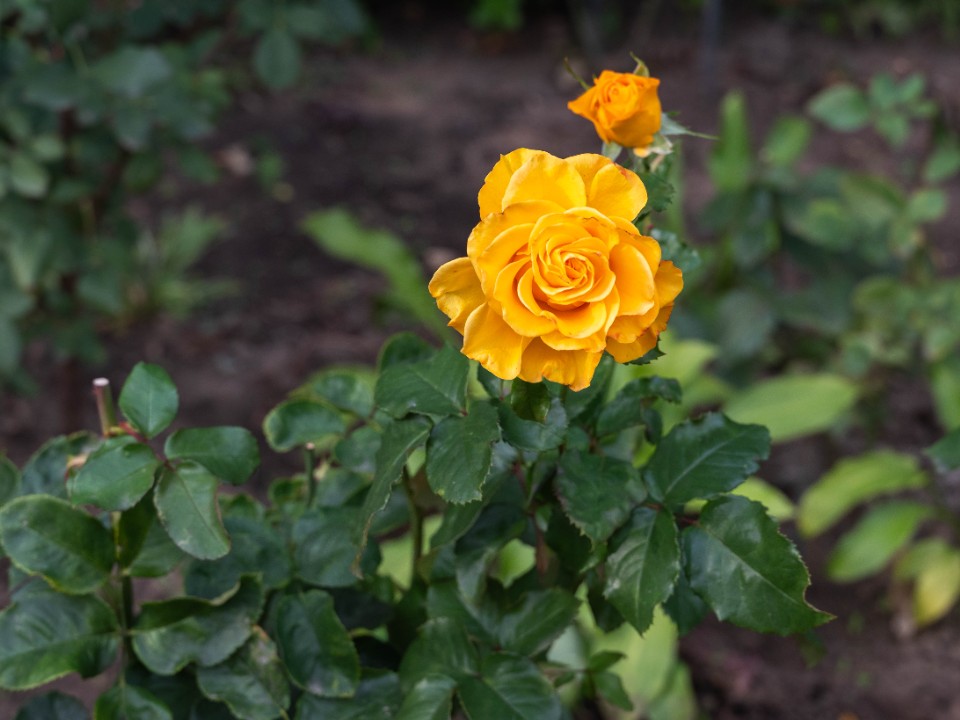 Фото: REGIONS/Максим Зубарев