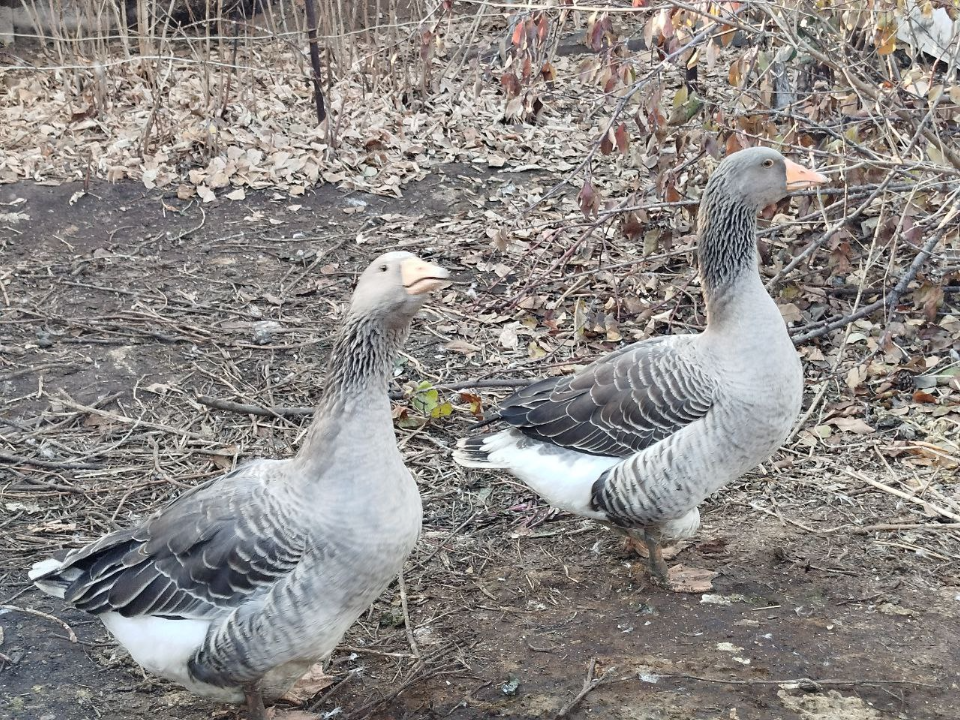 Фото: REGIONS/Юлия Куделькина