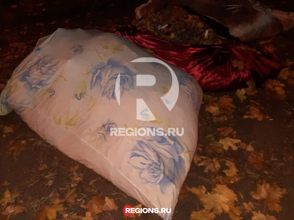 Фото: личный архив Надежды Ивановой