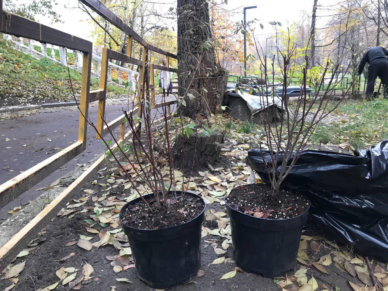 Фото: пресс-служба администрации г.о. Люберцы