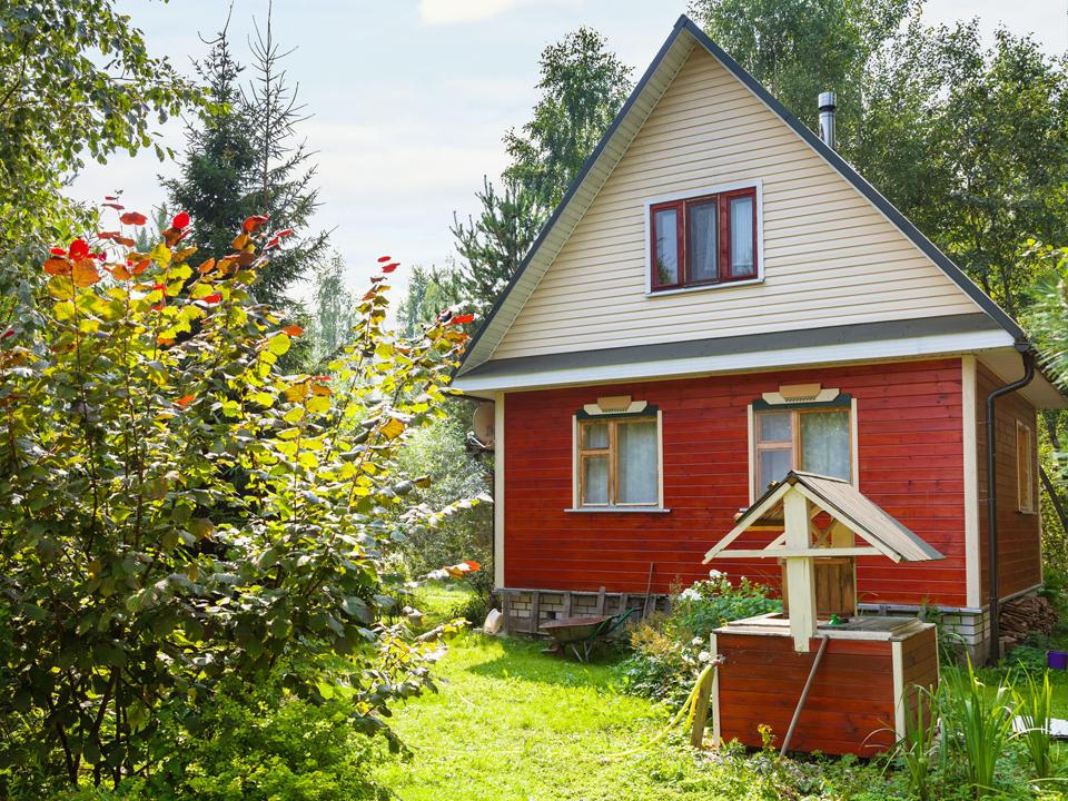 Фото: istockphoto.com/VvoeVale