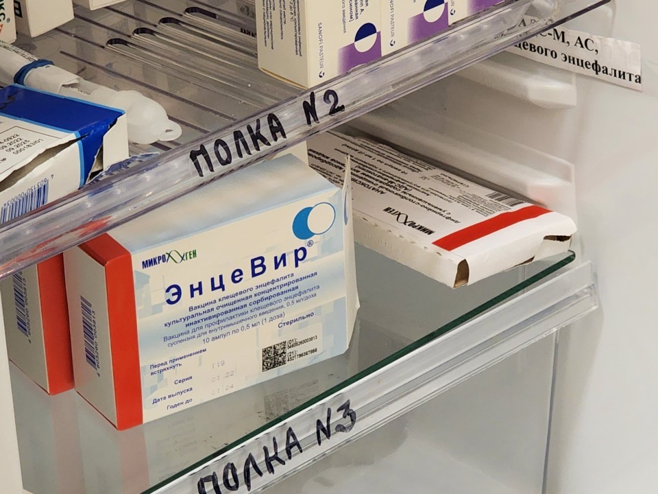 Фото: МедиаБанк Подмосковья/Ольга Фельдфебелева