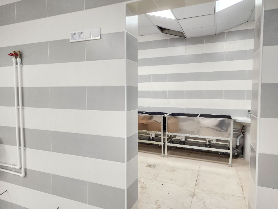 Фото: МедиаБанк Подмосковья/Мария Андрюхина