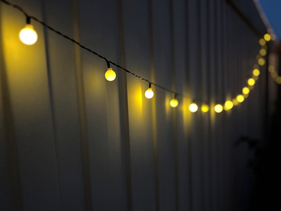 Фото: Василиса Астахова