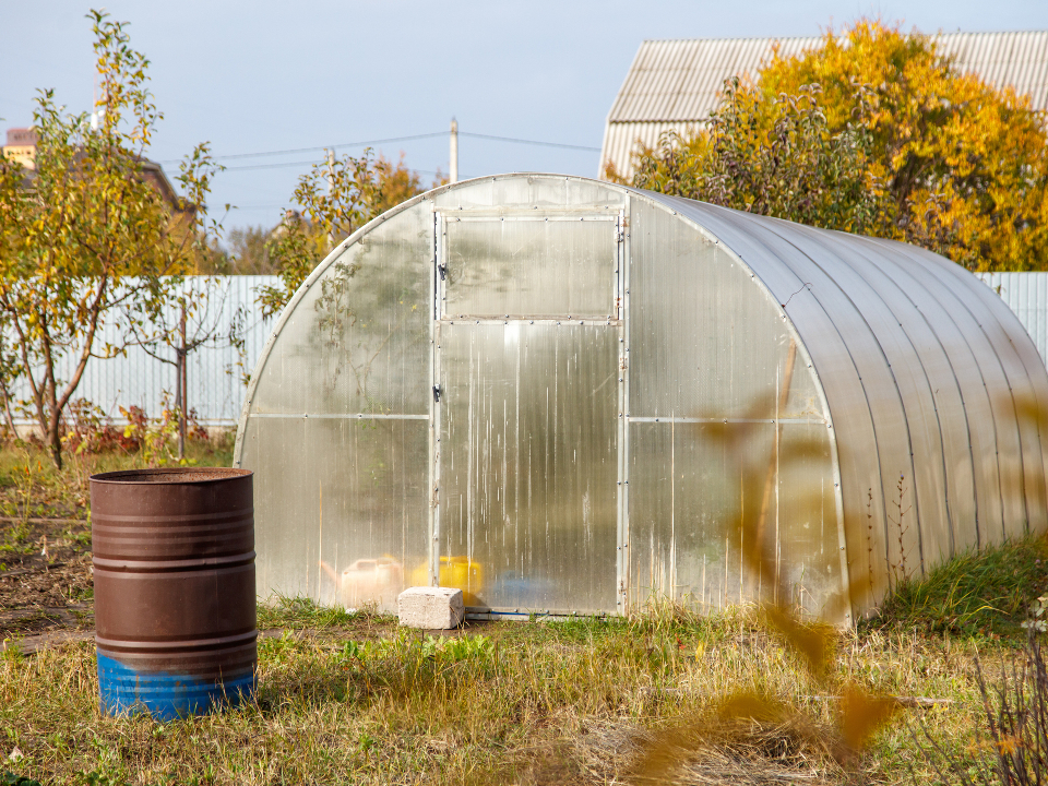 Фото: istockphoto.com/schankz