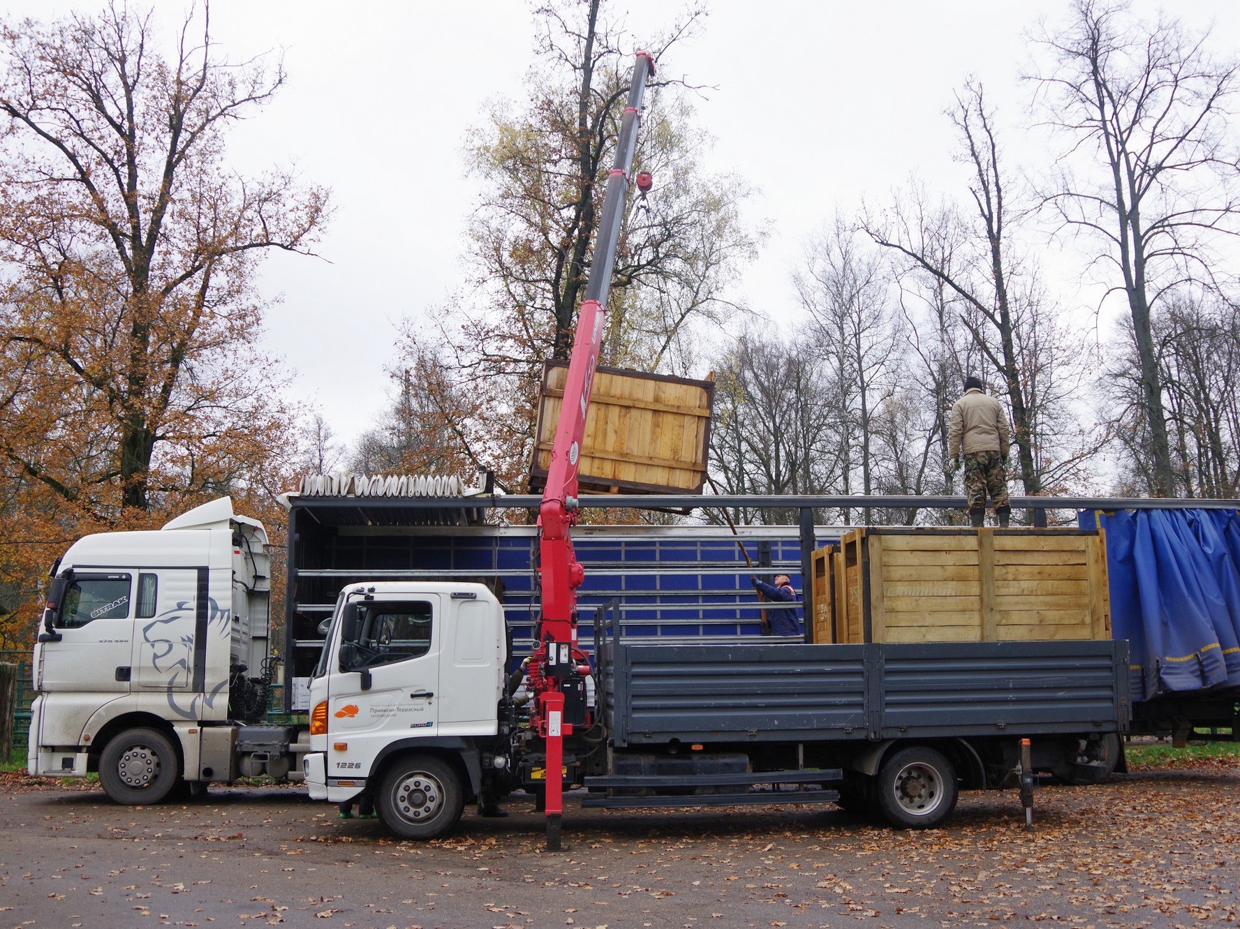 Фото: Приокско-Террасный государственный заповедник