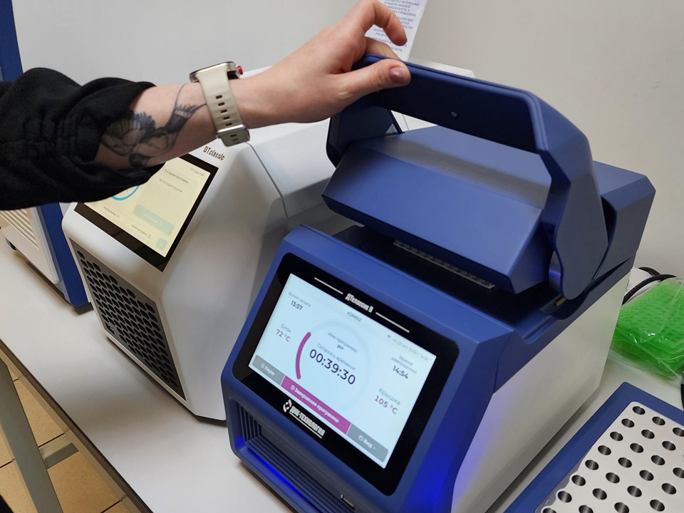 Фото: REGIONS/Анна Мороз