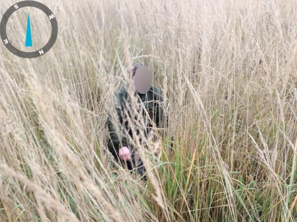 Фото: Комитет лесного хозяйства Московской области