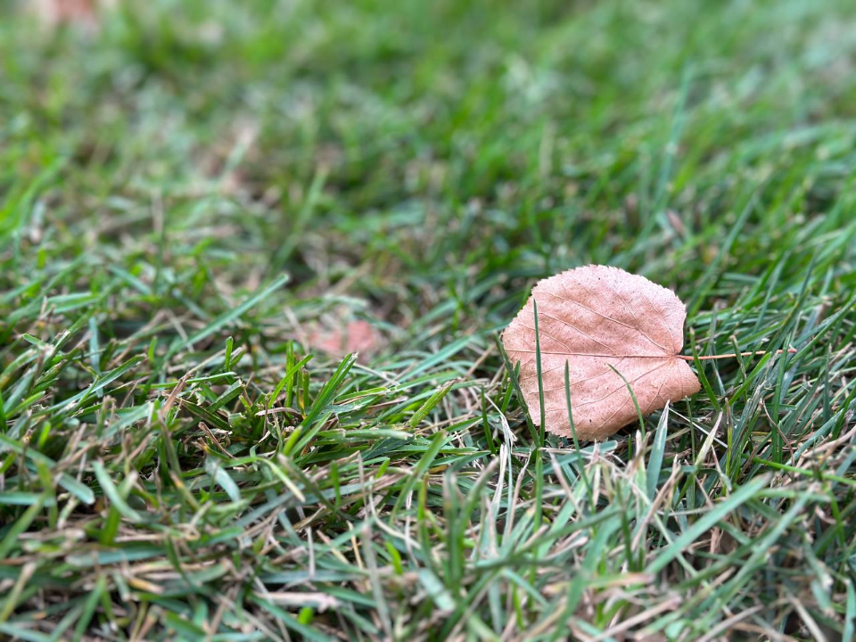 Фото: МедиаБанк Подмосковья/Ксения Казакова