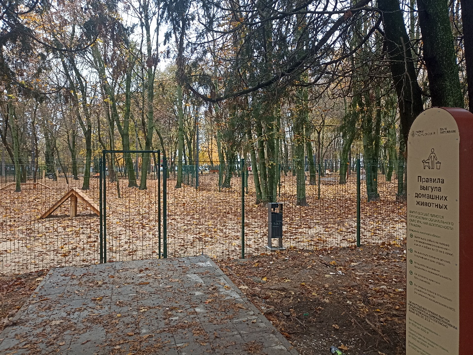 Фото: МедиаБанк Подмосковья/Александр Степушкин