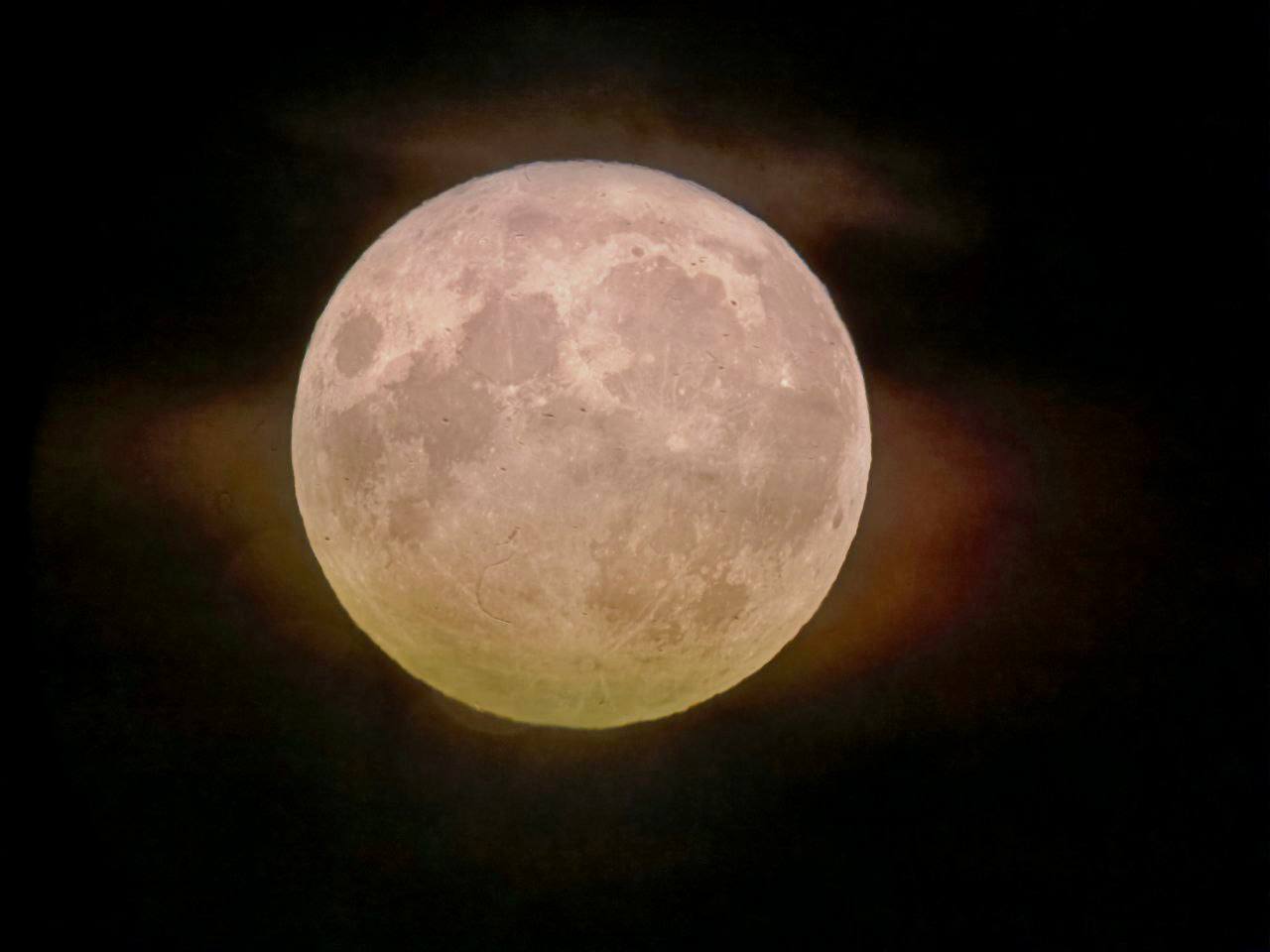 Фото: МедиаБанк Подмосковья/Яна Шаливская