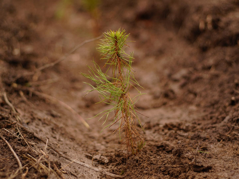 Фото: пресс-служба Futurione 