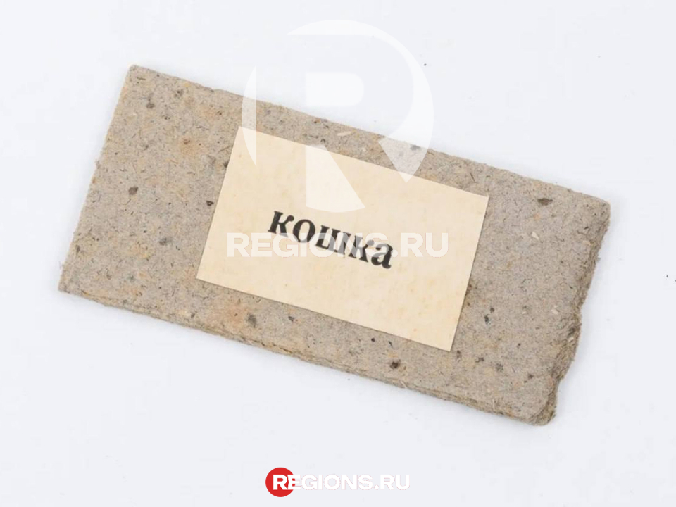 Карточка со словом «Кошка», по которой учился читать сам Ленин. Фото: музей-заповедник «Горки Ленинские»