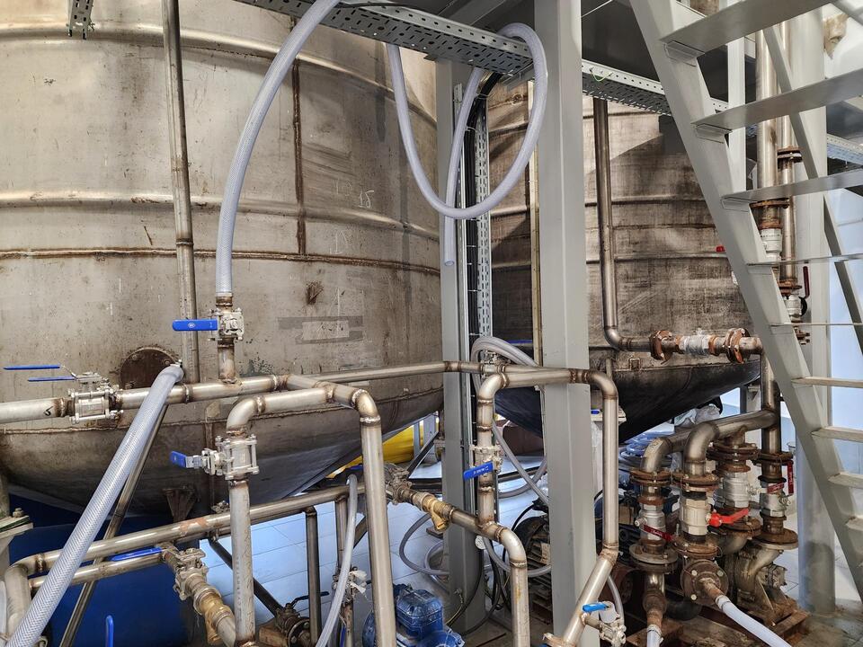 Фото: Екатерина Мелкозерова