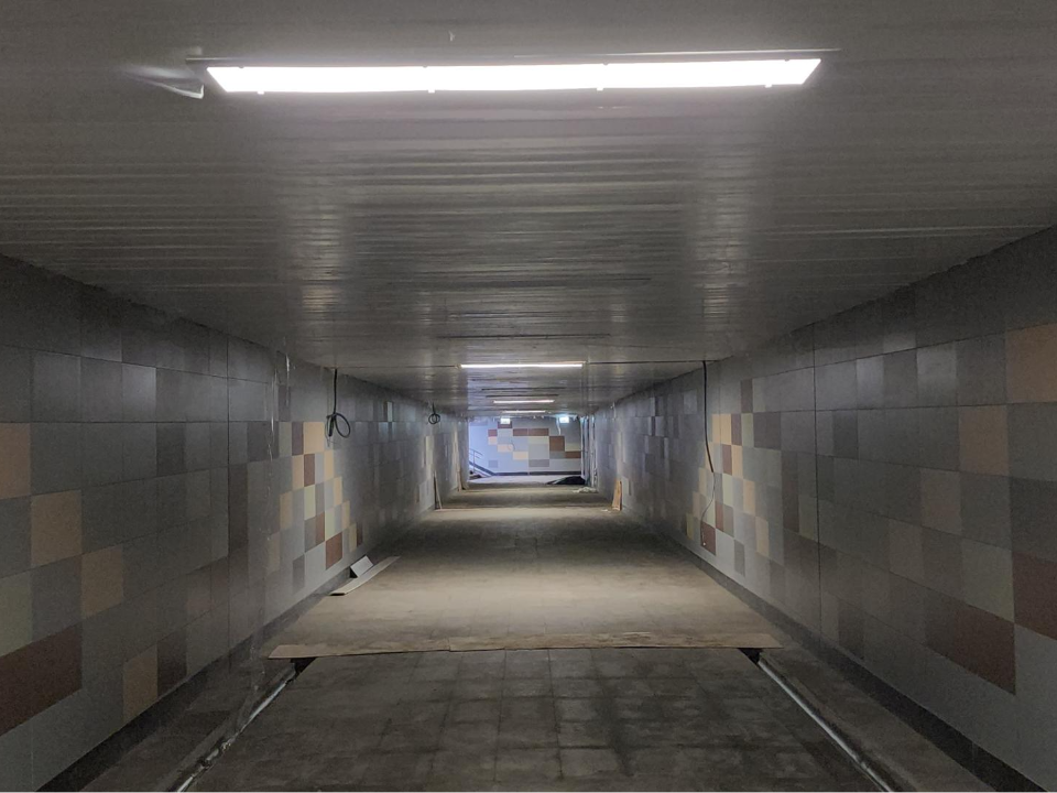 Фото: МедиаБанк Подмосковья/Наталья Лымарь