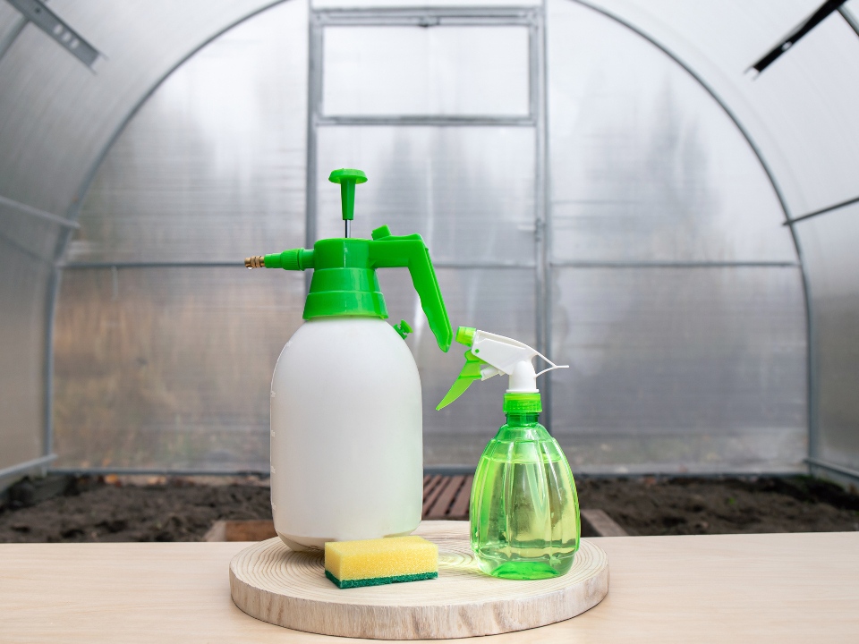 Фото: istockphoto.com/Helin Loik-Tomson