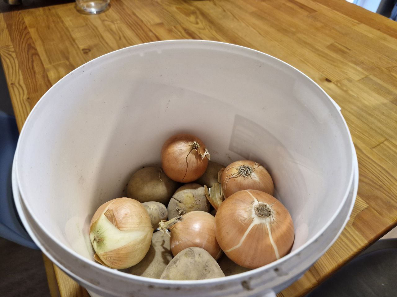 Фото: REGIONS/Наталия Надточая