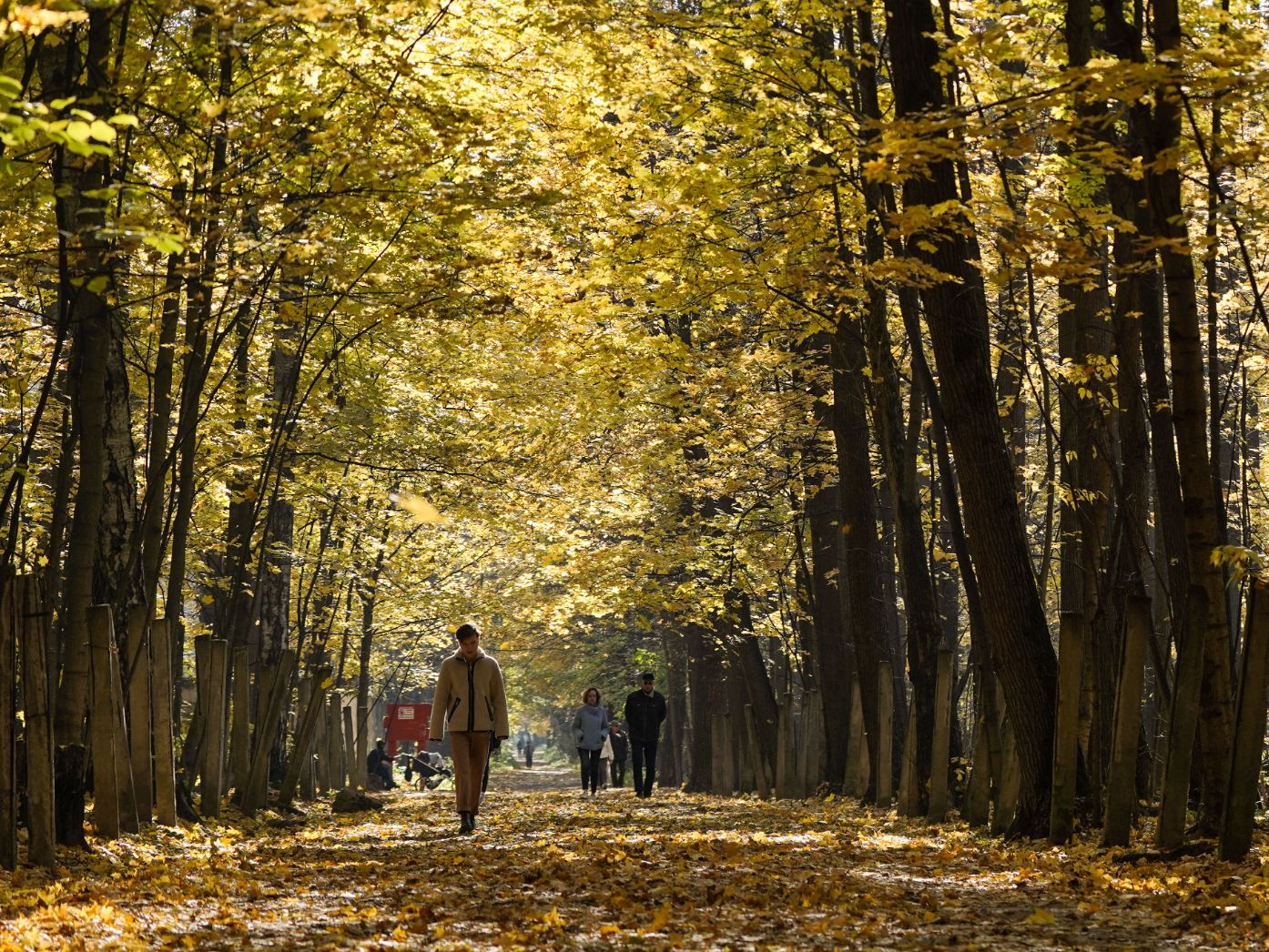 Фото: медиасток.рф