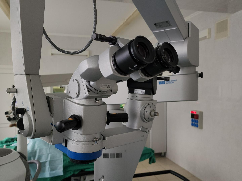 Фото: REGIONS/Артем Мишуков