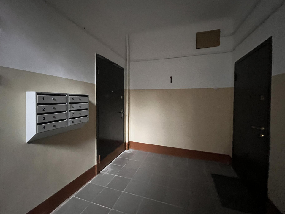 Фото: МедиаБанк Подмосковья/Ангелина Стельмух