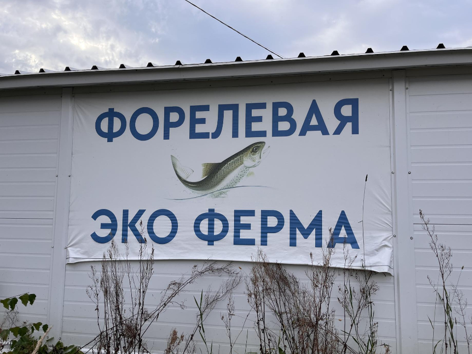Фото: МедиаБанк Подмосковья/Ангелина Стельмух
