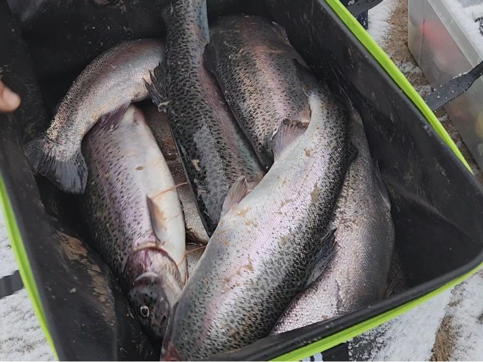 Фото: REGIONS/Ольга Антонова