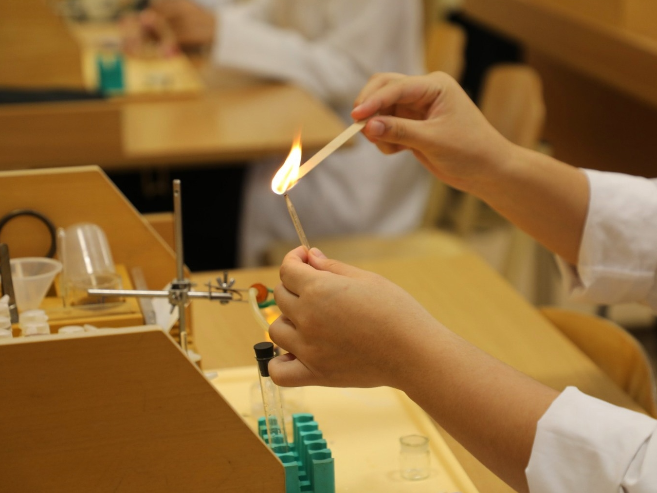 Фото: пресс-служба администрации Наро-Фоминского г.о.  