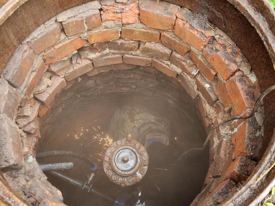 Фото: МедиаБанк Подмосковья/Юлия Скавронова