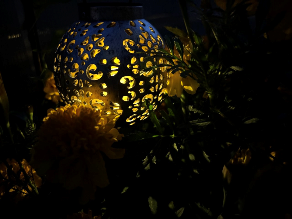 Фото: Василиса Астахова