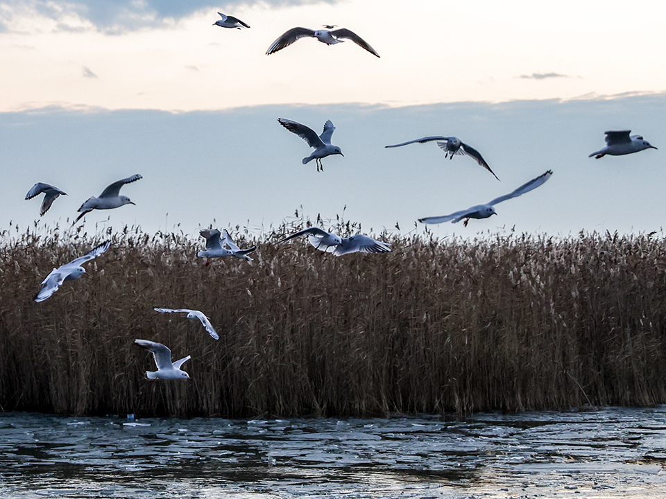 Фото: ТАСС/Кирилл Кухмарь