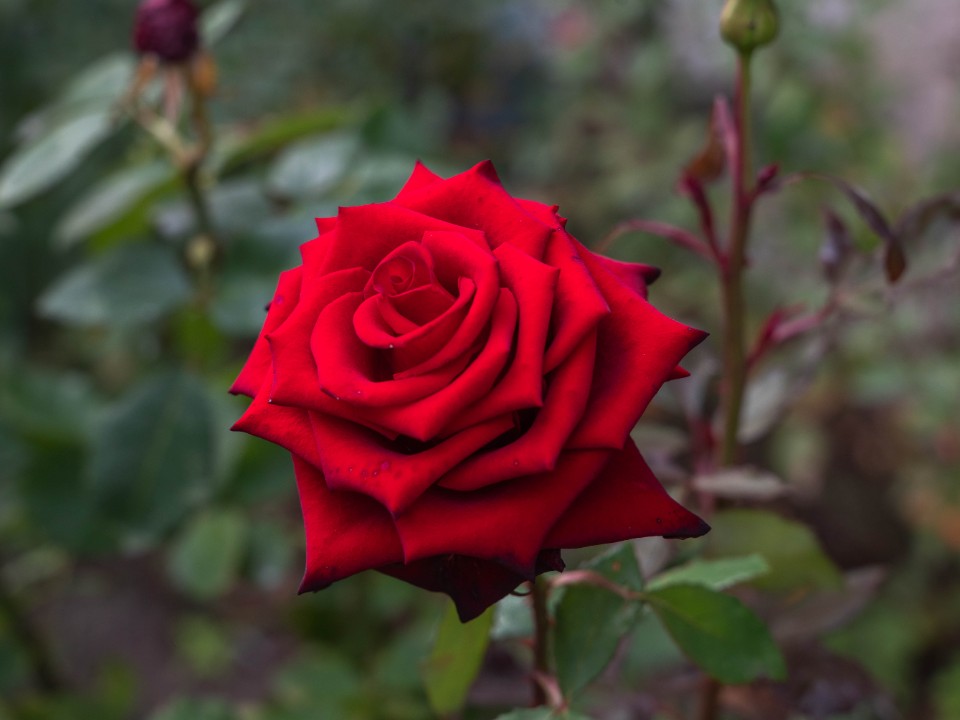 Фото: REGIONS/Максим Зубарев