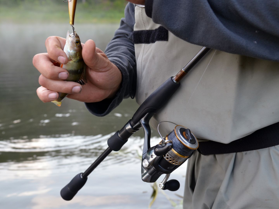 Фото: медиасток.рф