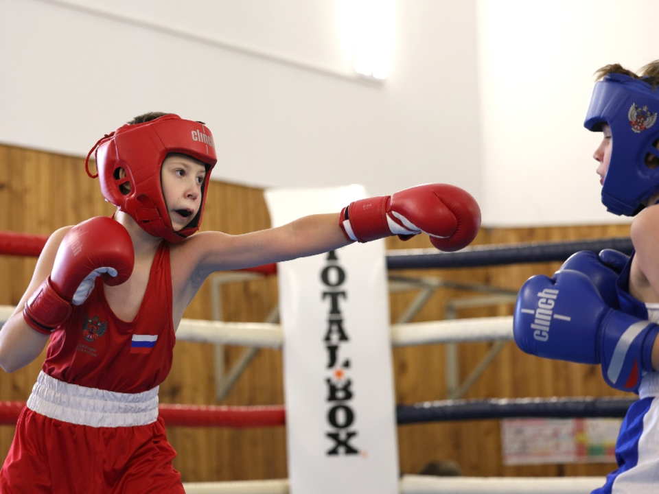 Фото: REGIONS/Ольга Пятикрестовская