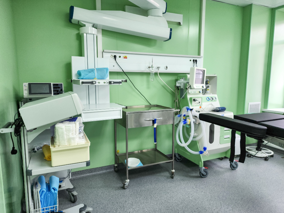 Фото: МедиаБанк Подмосковья/Мария Андрюхина