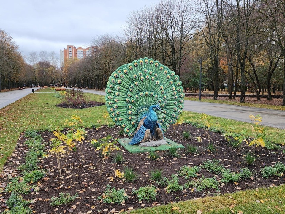 Фото: REGIONS/Александр Степушкин