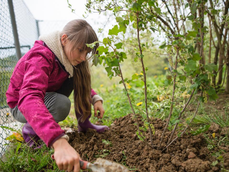 Фото: istockphoto.com/Imgorthand