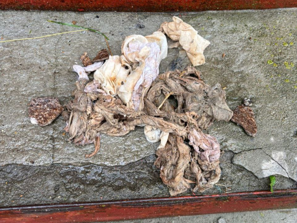 Фото: ООО «ДГХ» г.о. Коломна