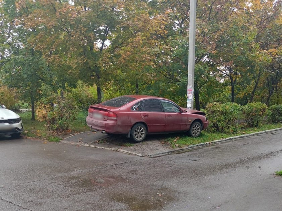 Фото: управление МВД РФ по Московской области